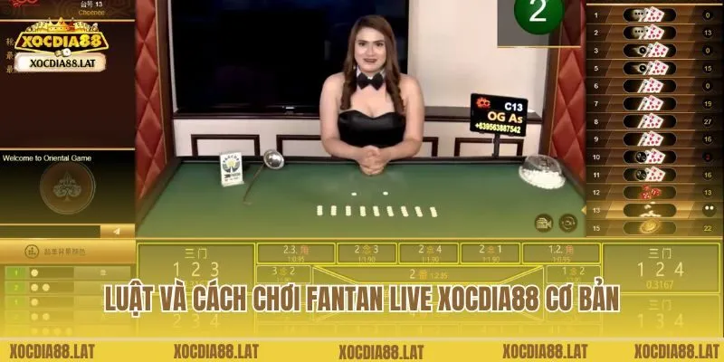 Luật và cách chơi fantan live Xocdia88 cơ bản